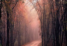 弗赖堡客场大胜，连续击败对手